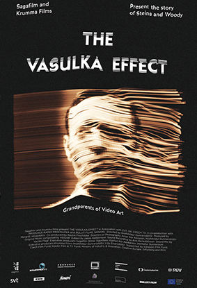 VasulkaEffect-poster